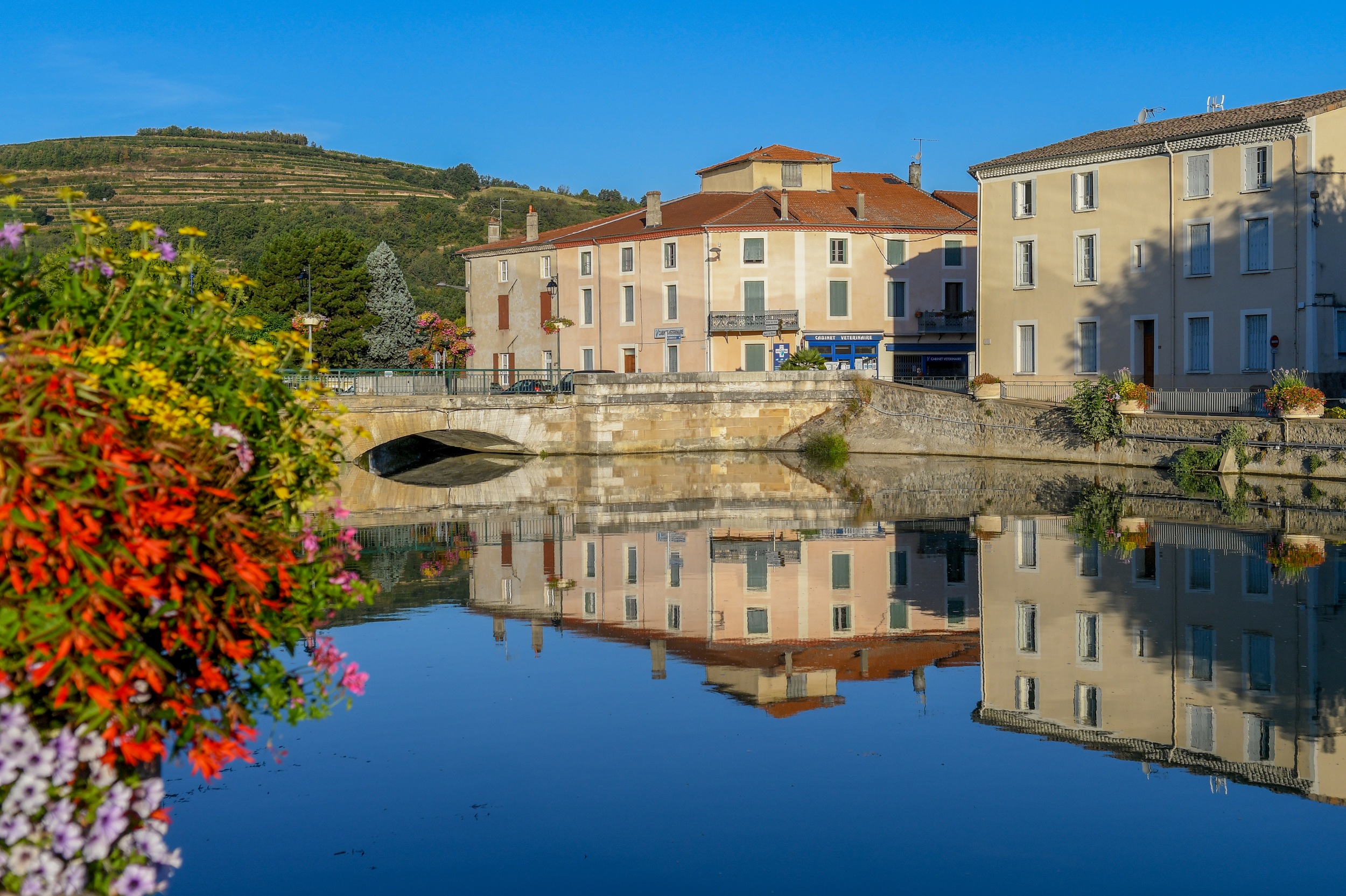 Découvrez les alentours